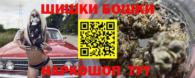 мдпв Гатчина