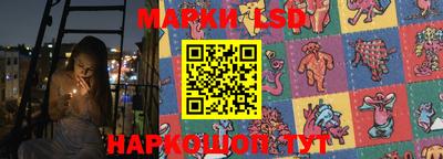 мдпв Гатчина
