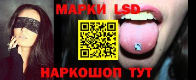 мдпв Гатчина