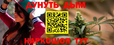 мдпв Гатчина