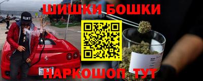 мдпв Гатчина