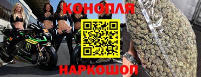 мдпв Гатчина