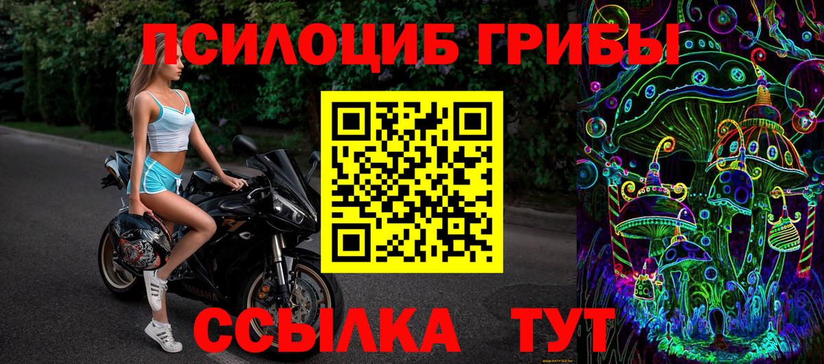 Мирный  Псилоцибиновые грибы GOLDEN TEACHER  Вход с VPN 
